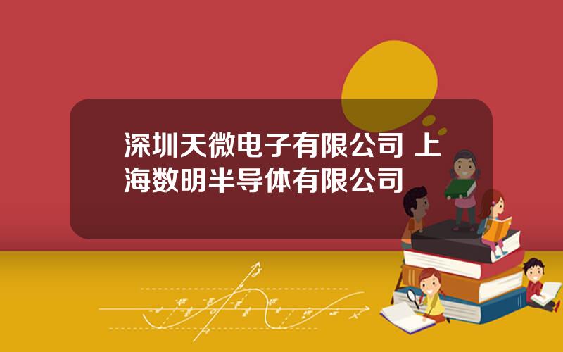 深圳天微电子有限公司 上海数明半导体有限公司